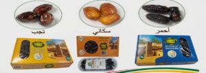 التمور الناضجة (الكيطنة) whatsapp image 2026 06 07 at 12.01.44 pm (1)